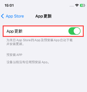 定兴苹果15维修中心如何让iPhone15APP自动更新